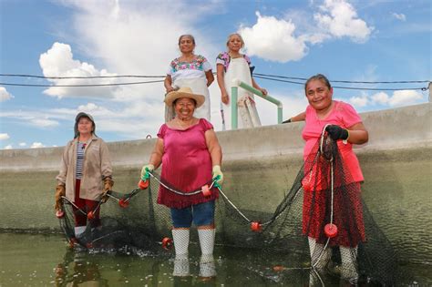 Crecimiento De La Pesca En México Se Basa En Sustentabilidad Sagarpa