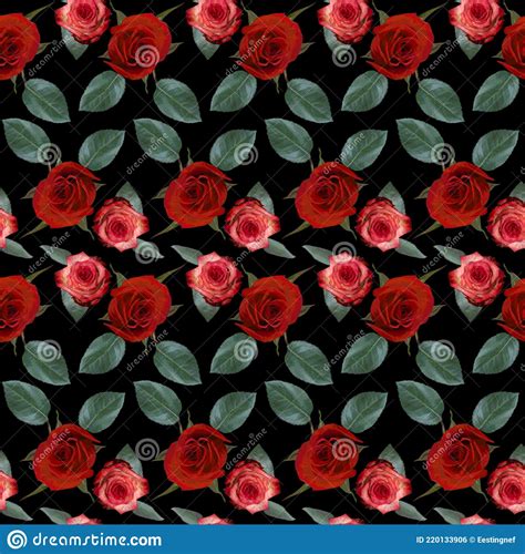 Seamless Pattern With Red Pink Rose Flowers And Green Leaves On Black