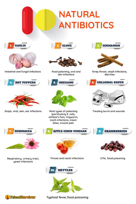 11 Natural Antibiotics For Everyone And How To Use Them Natural