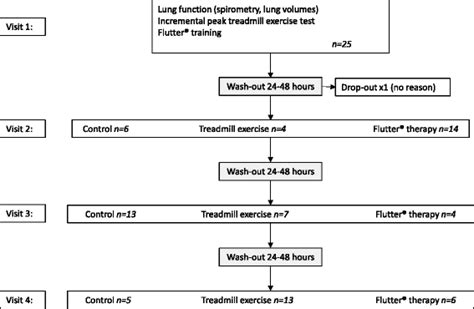 Effects Of Treadmill Exercise Versus Flutter® On Respiratory Flow And