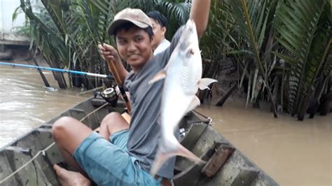 CÂu CÁ Tra SÔng VÀ MỒi CÂu CÁ Tra LẦy LỘi LẮm Huynh Khoa Fishing