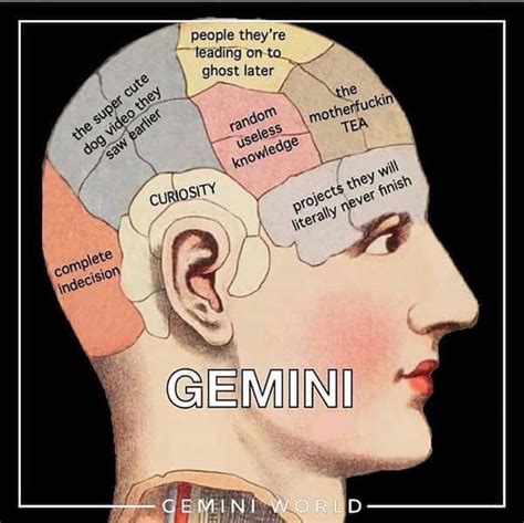 27 Funny Gemini Memes That Totally Get The Vibes Being A Gemini