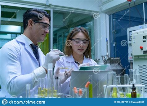Scientists And Assistants Are In The Oil And Cannabis Seed Extractor Room Stock Image Image