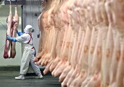 Pax On Both Houses Farm To Fridge The Cruel Truth Behind Meat