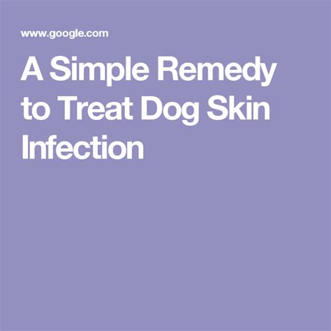A Simple Remedy To Treat Dog Skin Infection Dog Skin Infection Dog