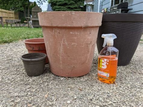 How To Spray Paint Plastic Planters In 7 Easy Steps
