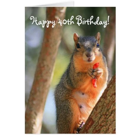 Happy 40th Birthday Squirrel Greeting Card Zazzle