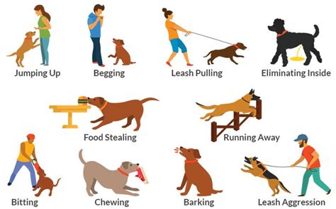 10 Common Dog Behavior Problems And How To Solve Them Dogviously