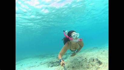 Snorkeling Cozumel Gopro