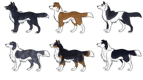 Cheap Border Collie Adoptables Closed By Wildfire Tama On Deviantart