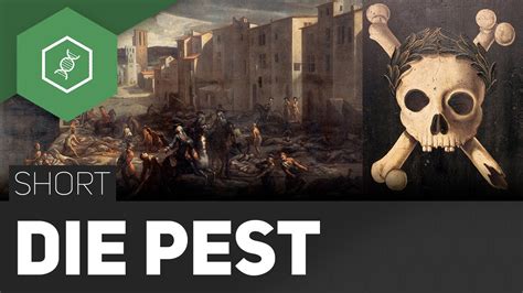 Understanding the pest factors in pest analysis. Die Pest - Ausbruch jederzeit möglich?! - #TheSimpleShort ...