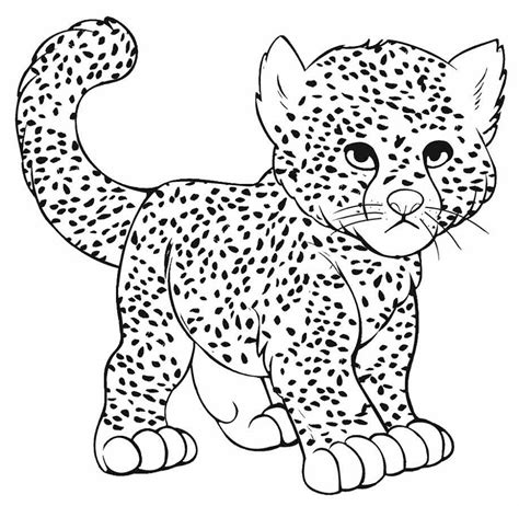 Cheetah Coloring Pages K5 Worksheets