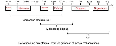 1ensc Docs Exos Log T1 Ciii