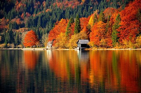 Autumn Lake Autumn Leaves Boathouse Colors Reflection Hd