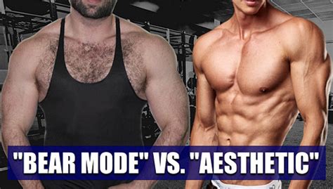 Bear Mode Vs Lean Which Physique Is Better