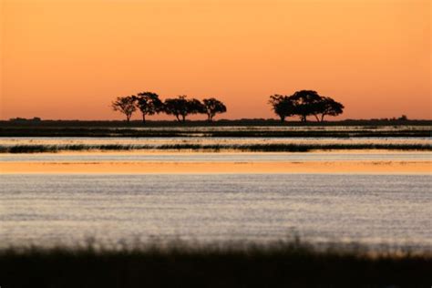 Ancestral Homeland Of Earliest Human Ancestors Traced To Botswana