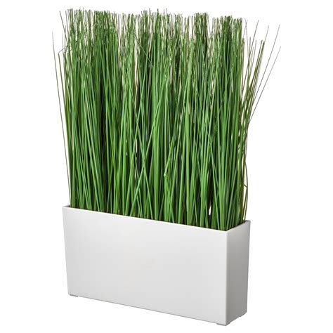 Fejka Artificial Potted Plant With Pot Indooroutdoor Grass Ikea