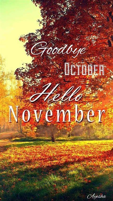 Good Bye October Hello November 🤗 Hello November November Wallpaper