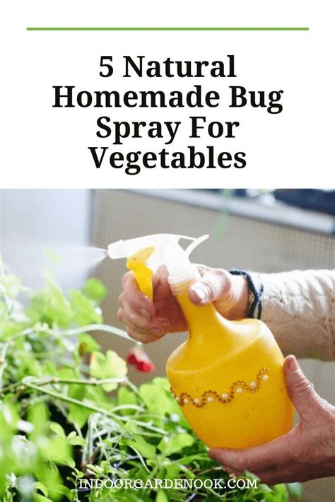Like many homemade bug spray recipes, all this one requires you to do is collect your ingredients and shake i grow all these things at home so i could whip up a batch whenever i please. How To Make Natural Homemade Bug Spray For Vegetables ...