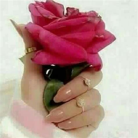 Pin by خمر on اقتبس rose plants. يد ماسكه ورد