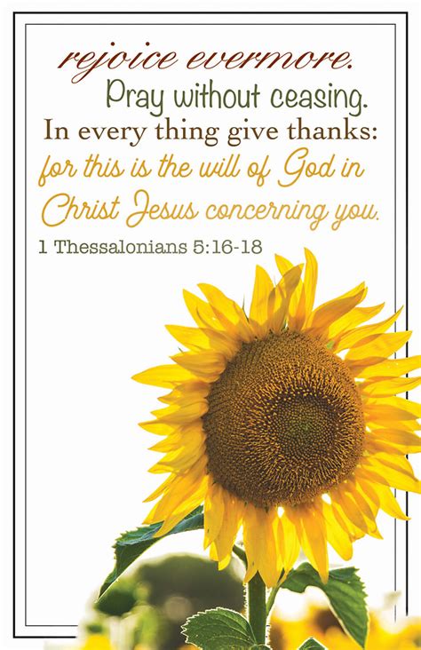 You can enter your own info on these pages in many different graph sizes and colors. Rejoce Evermore General Regular Size Bulletin | Cokesbury