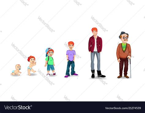 Generation Of People And Stages Of Growing Up Vector Image