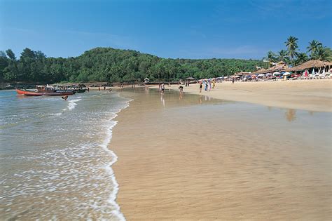 Baga Beach Goa Essential Travel Guide