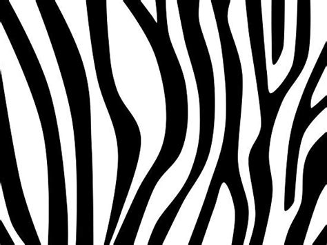 Maybe you would like to learn more about one of these? How to Draw Zebra Stripes | Zebra art, Zebra decor, Zebra