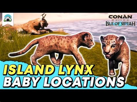 Walk on the pressure plate to enter the domain of the wolf men. Conan Exiles: Isle of Siptah - Island Lynx Cub Map Locations | Baby Animal Location Guide ...