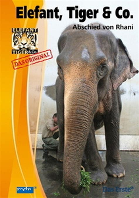 Elefant Tiger And Co Dvd Jetzt Bei Weltbildde Online Bestellen