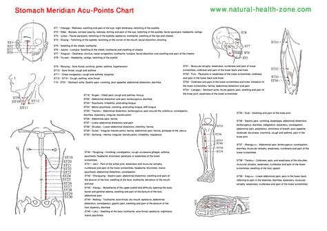 Stomach Meridian Acupressure Treatment Acupressure Therapy Acupuncture
