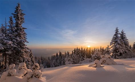 Hd Wallpaper Forest The Sun Snow The Snow Bulgaria Mountain Range