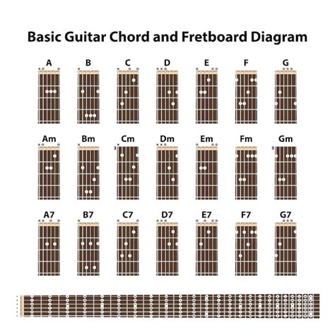 Diagrama Básico De Acordes De Guitarra Y Diapasón Vector Premium