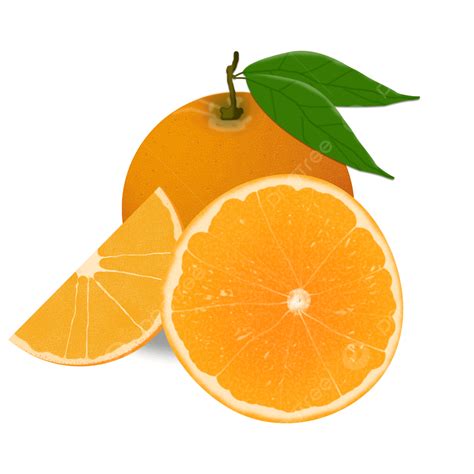 รูปส้มผลไม้ส้มมือวาดการ์ตูน Png ส้ม ผลไม้ วาดด้วยมือภาพ Png และ Psd