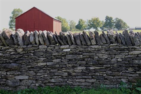 Photo Essay Stone Fences In Kentucky Annette Gendler