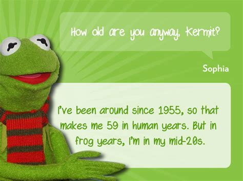 Kermit The Frog Instagram Quotes Quotesgram