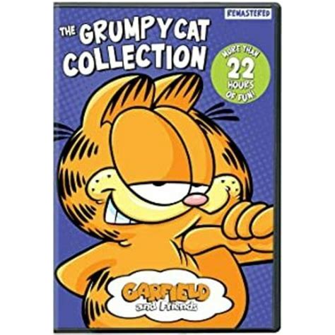 Garfield And Friends The Grumpy Cat Collection Dvd