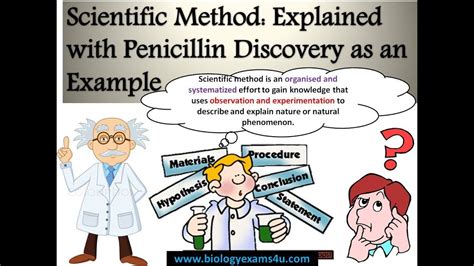 6 Steps Of Scientific Method Explained With Example Penicillin