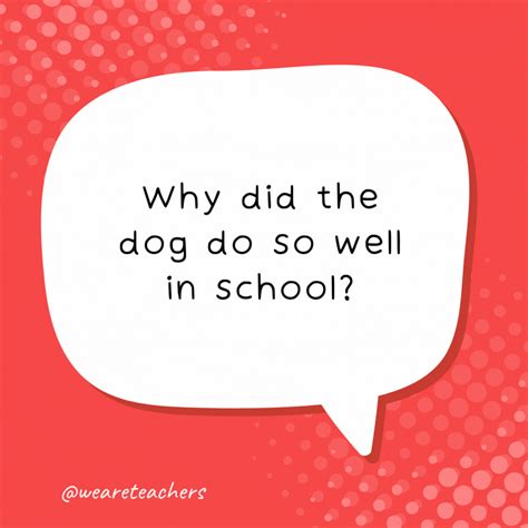 50 School Jokes For Kids Who Want To Lol