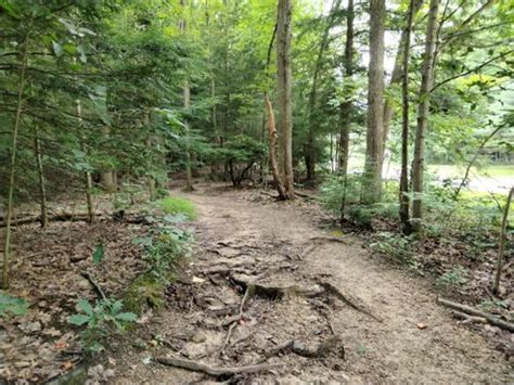 Best 10 Hikes And Trails In South Chagrin Reservation Alltrails