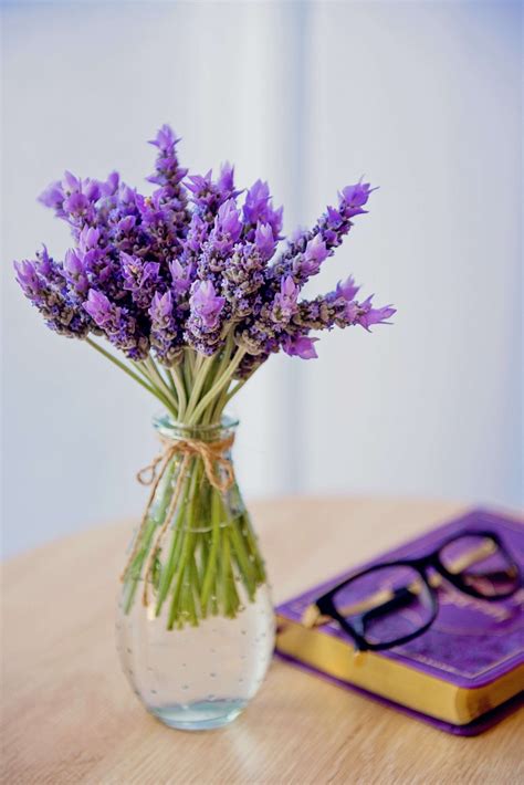 How To Use Fresh Lavender In Your Home Diet And Beauty Routine — The