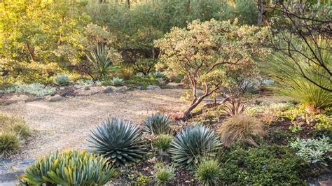 2024 Xeriscape Cost Average Cost Of Xeriscaping A Yard Angi