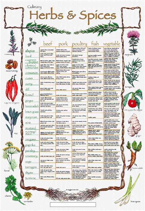 The Creative Palate Culinary Herb N Spice Chart