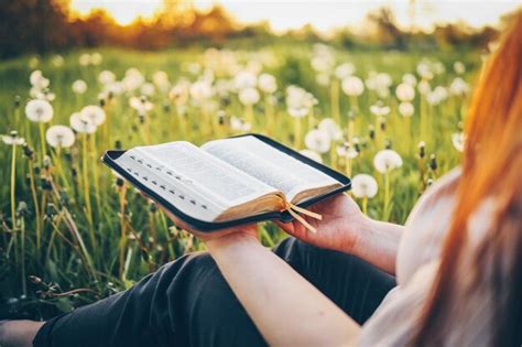 premium photo christian woman holds bible in her hands reading the holy bible in a field