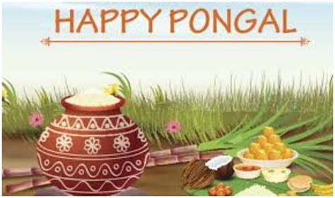 Pt teh gelas alamat wangi pandaan : Thai Pongal 2021 Tamil Wishes : Pongal 2021 Date Significance And Celebration Information News ...