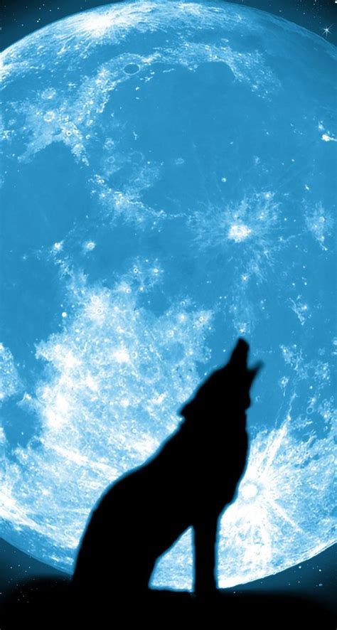 Search free wallpaper wolfs wallpapers on zedge and personalize your phone to suit you. 43+ Wolf iPhone Wallpaper on WallpaperSafari
