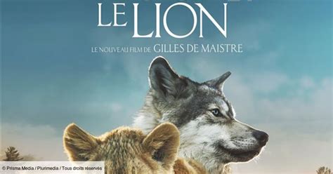 Le Loup Et Le Lion Film Bande Annonce - Casting Le Loup et le lion - Film d'aventures - Télé-Loisirs