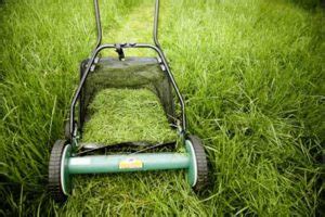 Emerald zoysia is a very fine textured grass. Four Reasons You Should Bag Your Zoysia Grass Clippings ...