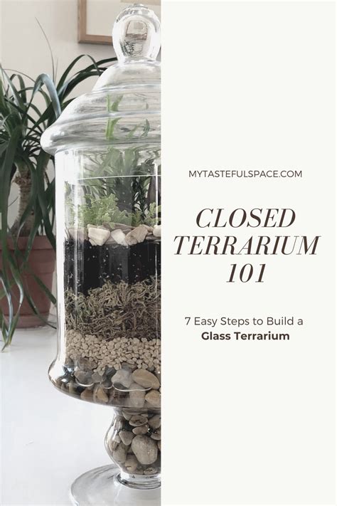 Closed Terrarium 101 7 Easy Steps To Build Your Glass Terrarium My