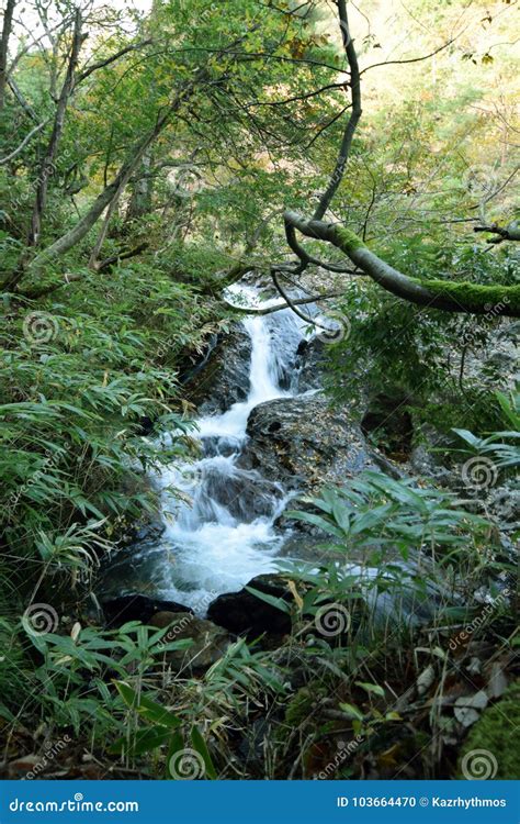 Waterfall In Kyoto Mountain Stock Photo Image Of Japan Green 103664470